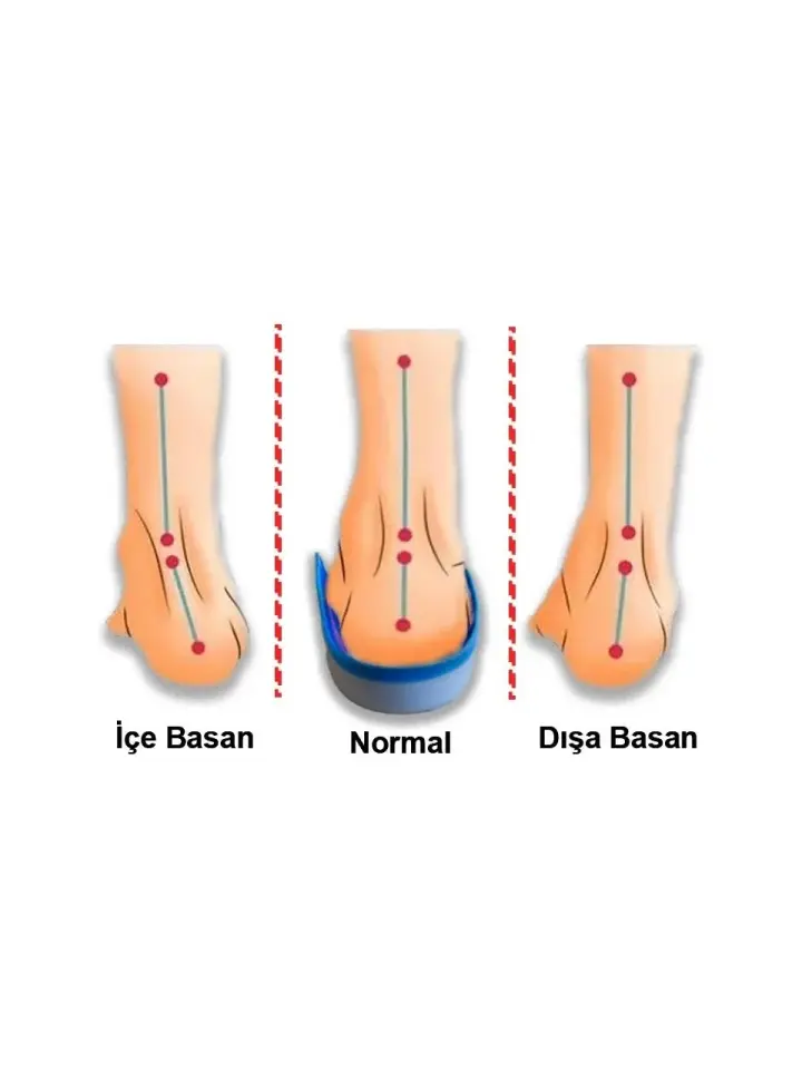Active - UCBL Tabanlık