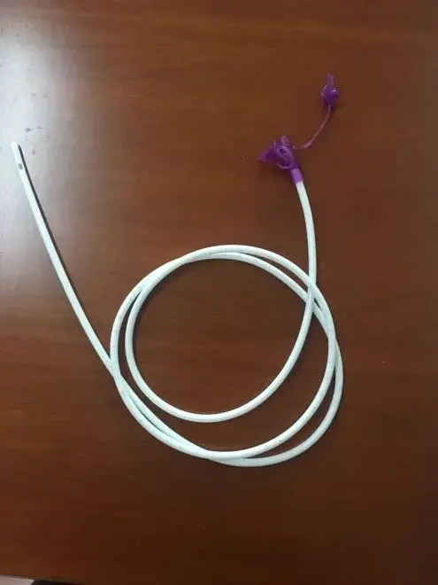 GALENA BESLENME SONDASI TELLİ